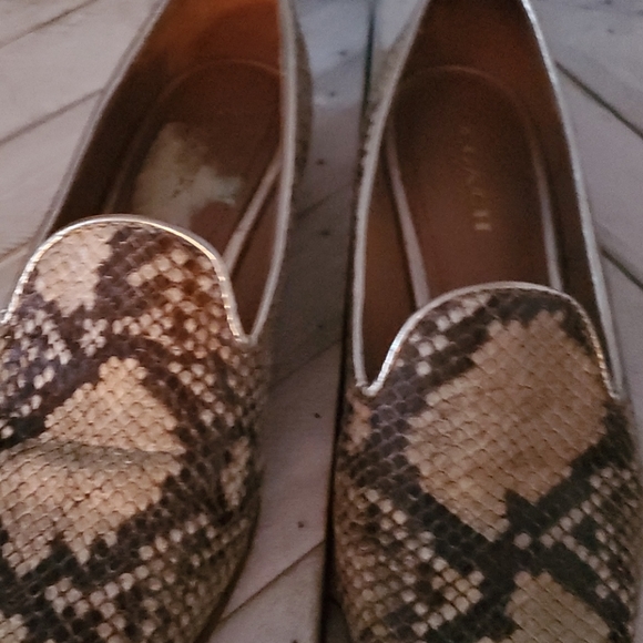 Coach Size 5.5 B Snakeskin Design - Picture 3 of 9